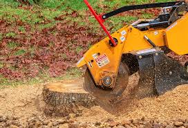 Best Lawn Pest Prevention  in Astatula, FL